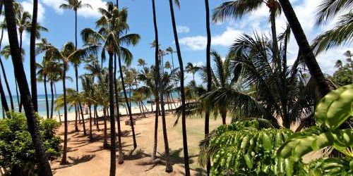 Забронировать The New Otani Kaimana Beach Hotel