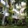 The Greenery Hotel