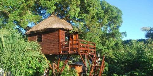 Забронировать Tree Lodge Mauritius
