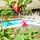 Hotel Panorama