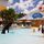 Fairfield Inn Suites by Marriott Orlando At SeaWorld