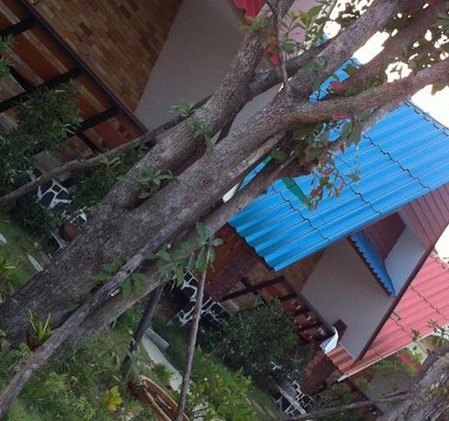 พิจิตรา รีสอร์ท (Pijittra Resort)